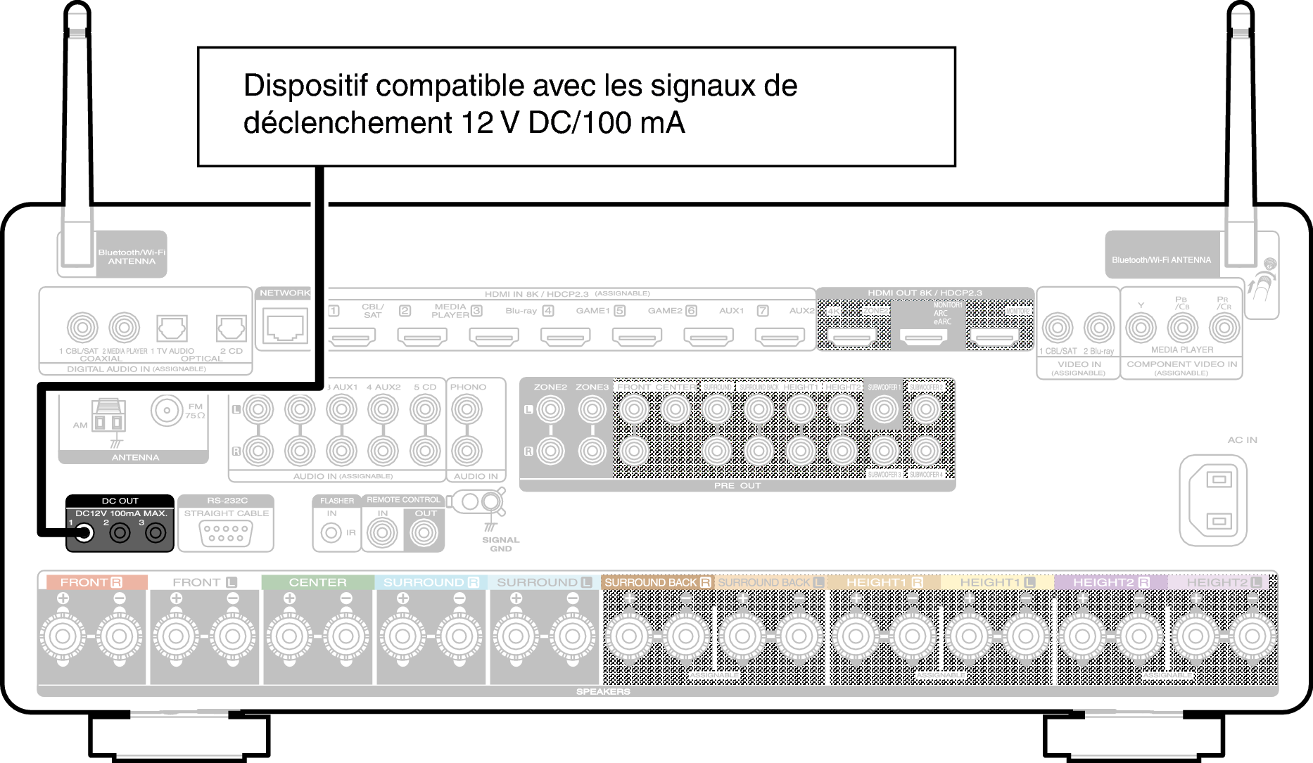 Conne DC OUT C40